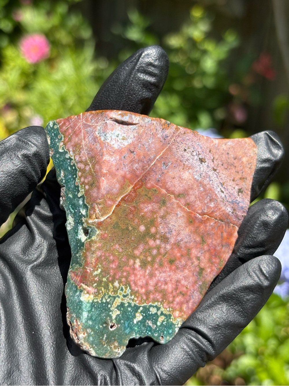 Ocean Jasper Crystal Freeform - Polished Sea Jasper - Orbicular Jasper